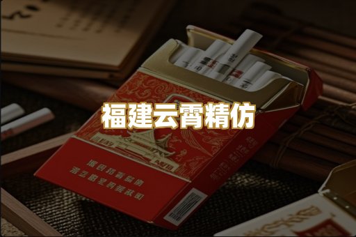 福建云霄精仿